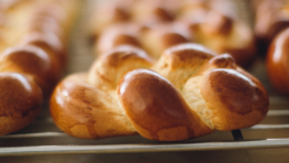 Brioche levital