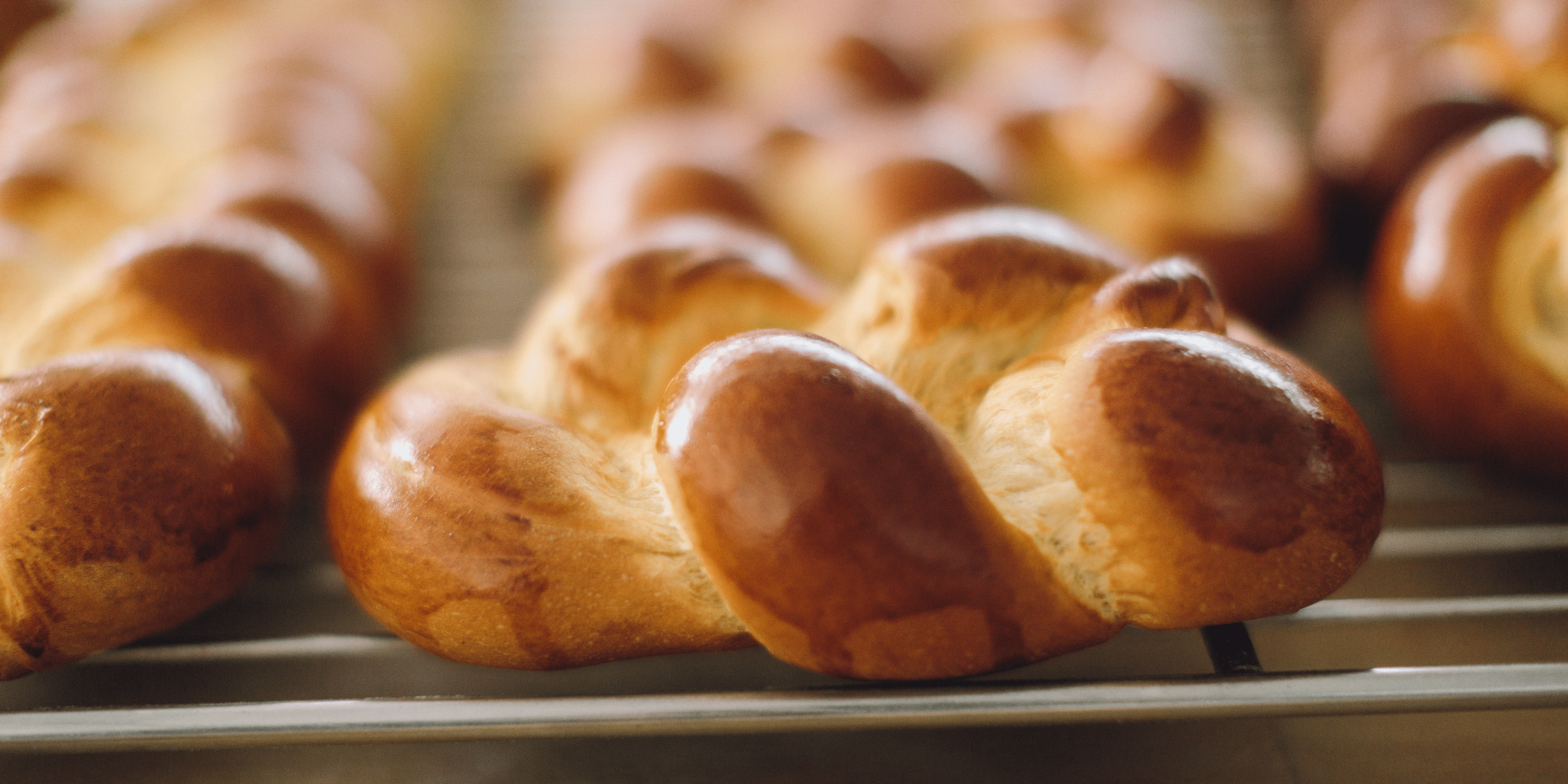 Brioche levital